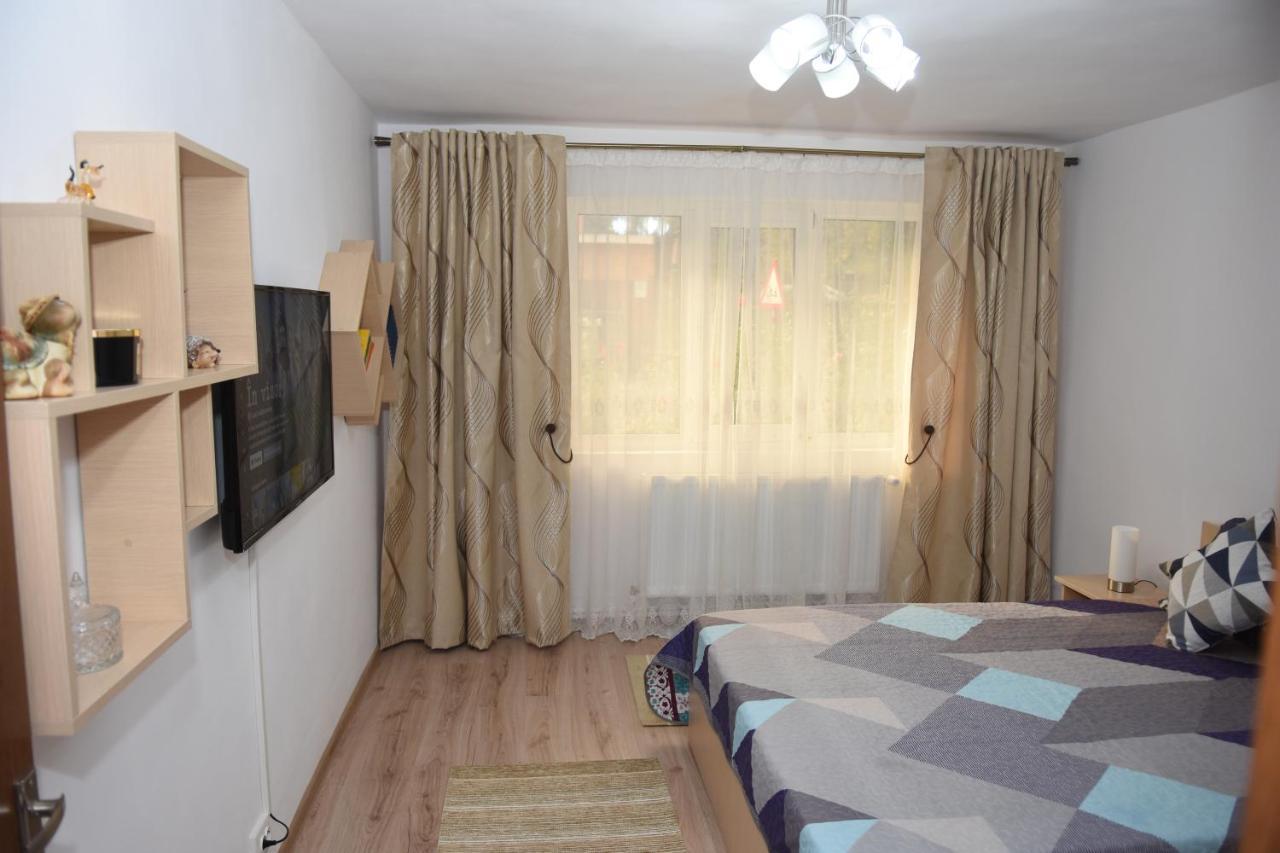 1St Apartment Nehoiu Εξωτερικό φωτογραφία
