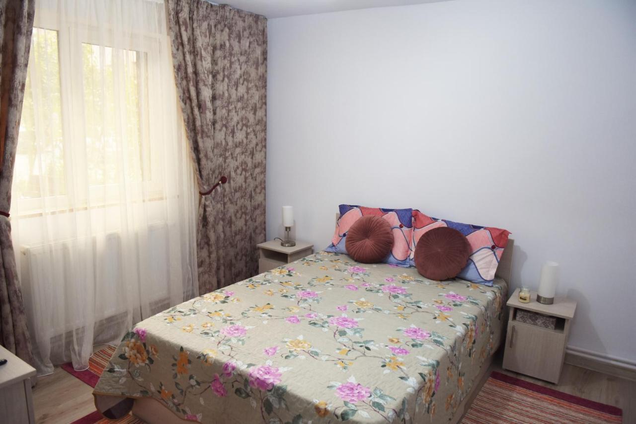1St Apartment Nehoiu Εξωτερικό φωτογραφία