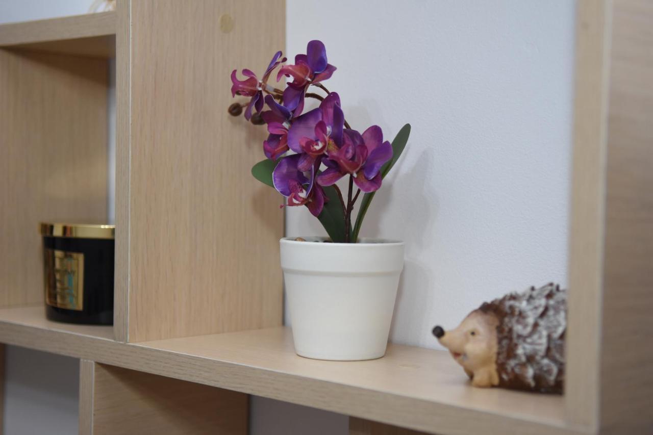 1St Apartment Nehoiu Εξωτερικό φωτογραφία