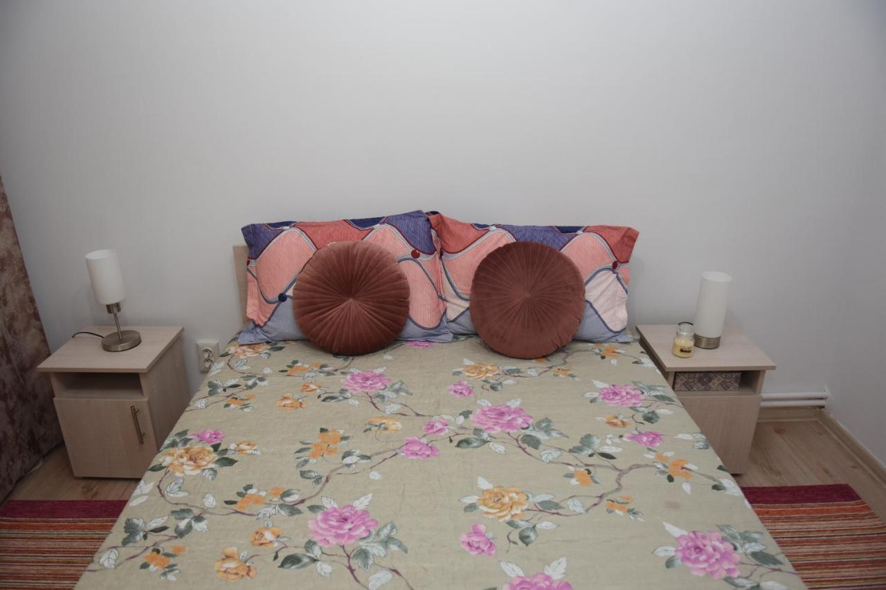 1St Apartment Nehoiu Εξωτερικό φωτογραφία