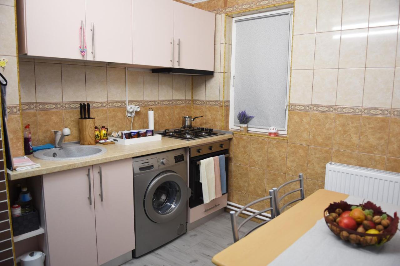 1St Apartment Nehoiu Εξωτερικό φωτογραφία