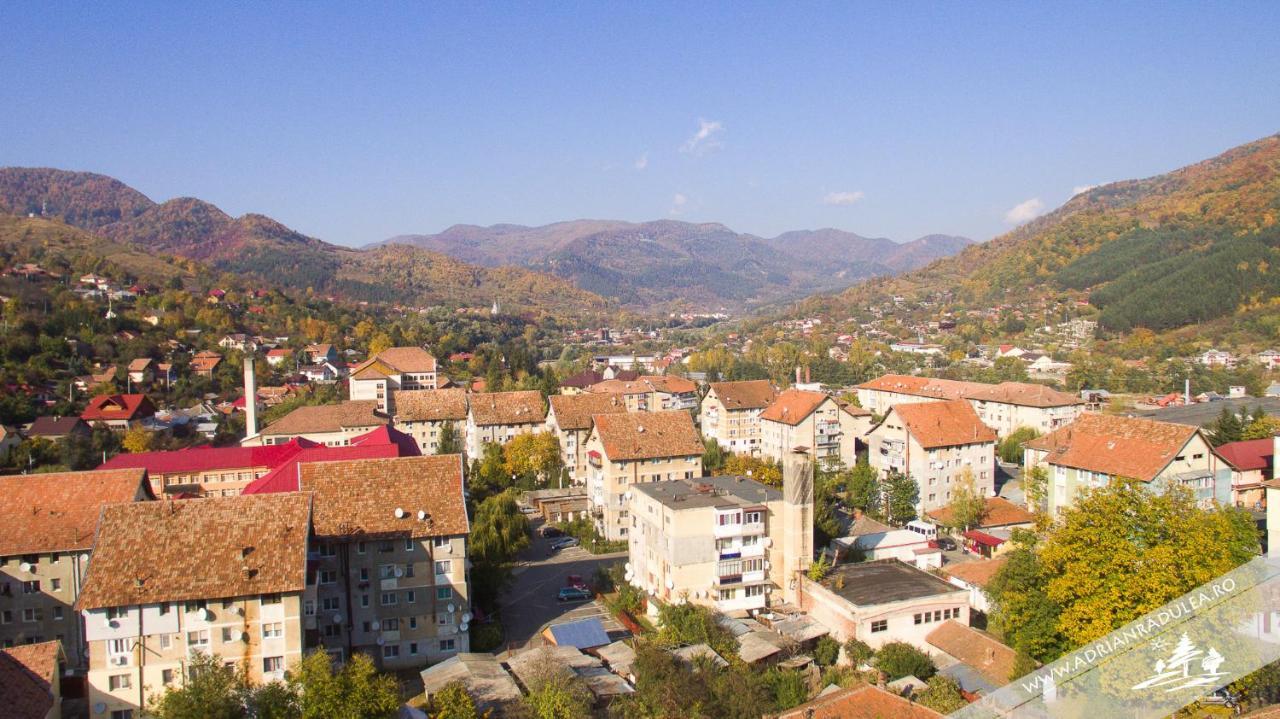 1St Apartment Nehoiu Εξωτερικό φωτογραφία