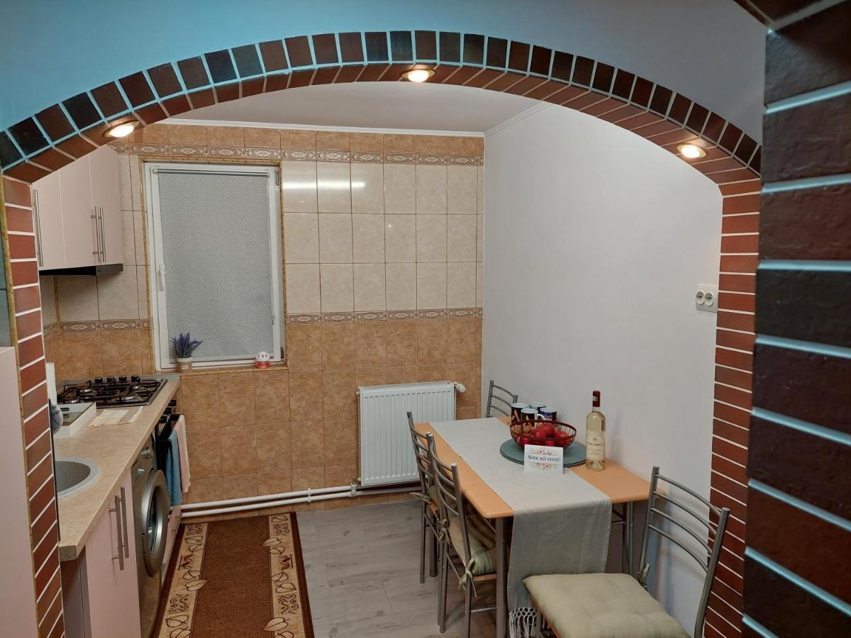 1St Apartment Nehoiu Εξωτερικό φωτογραφία